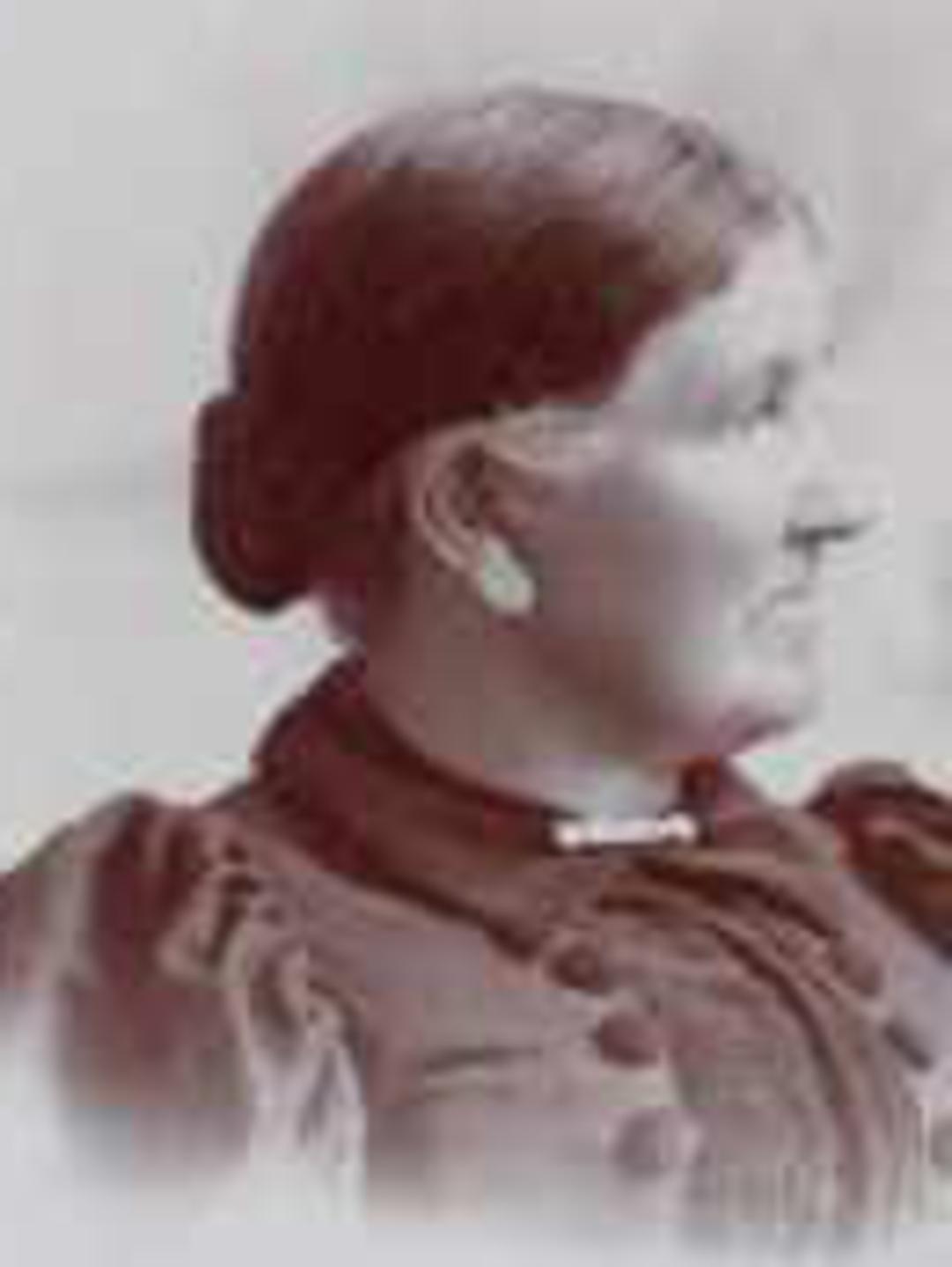 Mary Ferguson (1831 - 1911) Profile